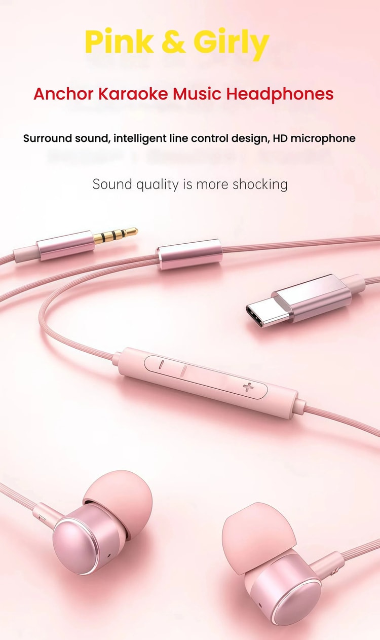 Universal HiFi USB-C Wired Earbuds with Digital Chip and 1.2M Cable
